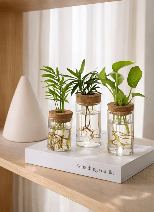 Cosy Plant Propagation Vase