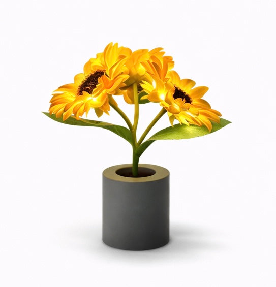 Warm Sunflower Light