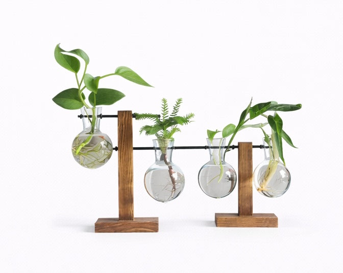 Glass Desktop Planter