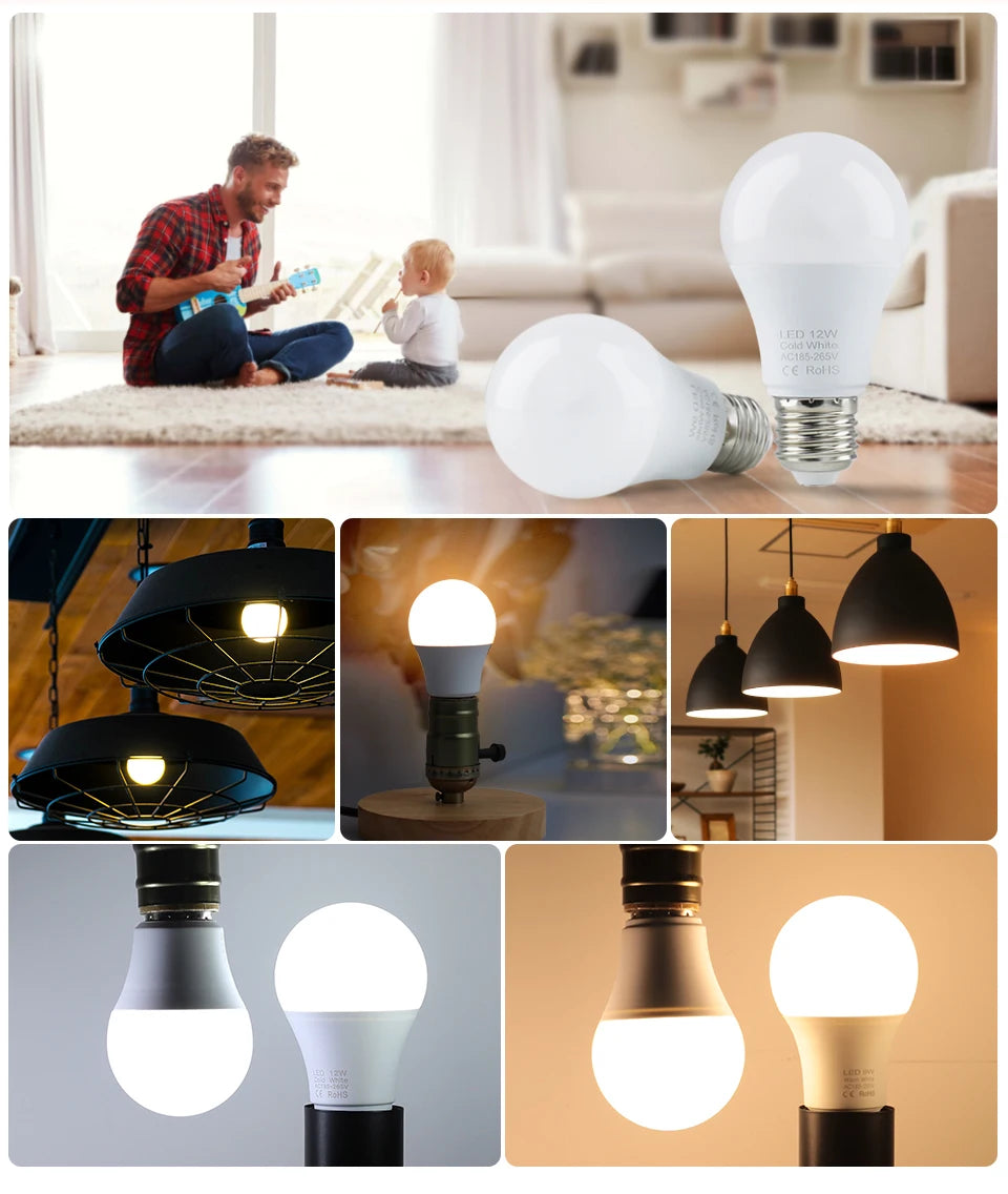 LED Bulb Lamps