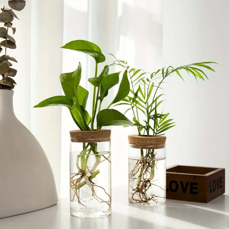 Glass Hydroponics Planter Vase