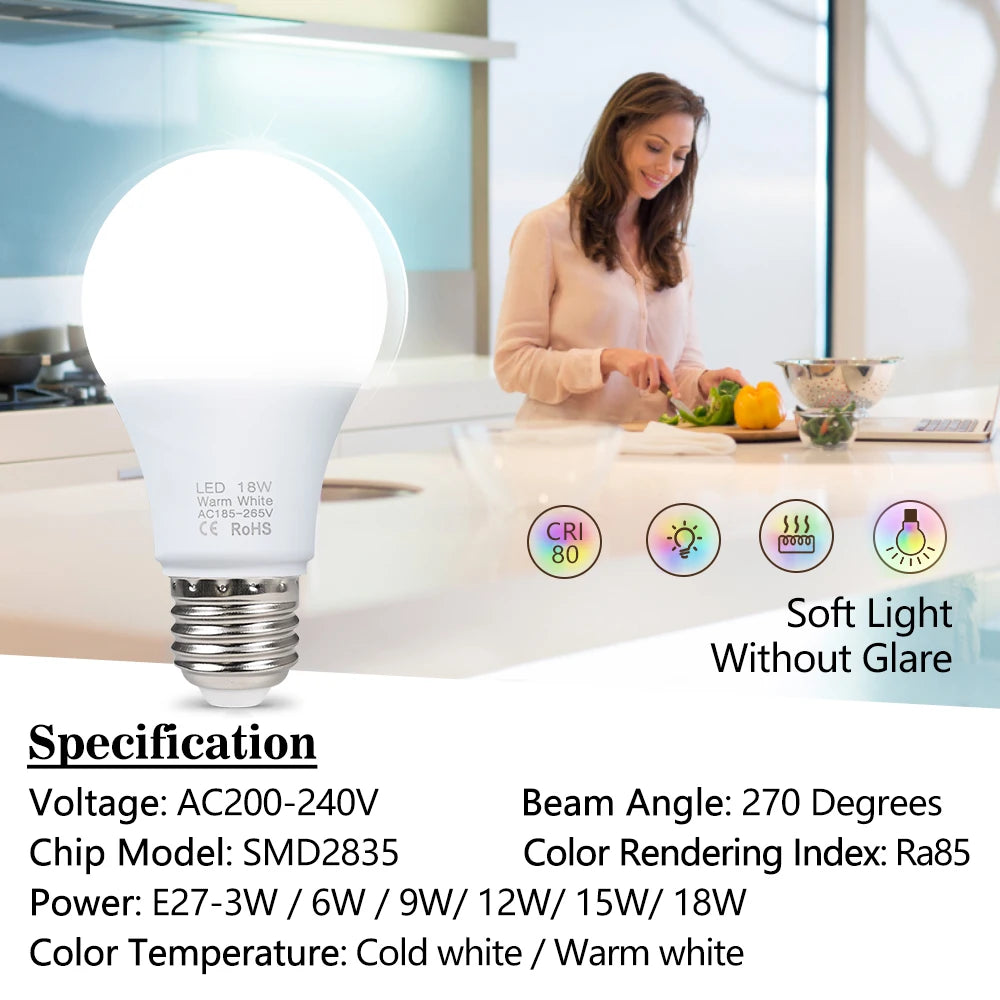 LED Bulb Lamps