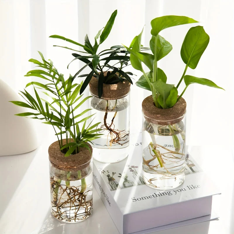 Glass Hydroponics Planter Vase