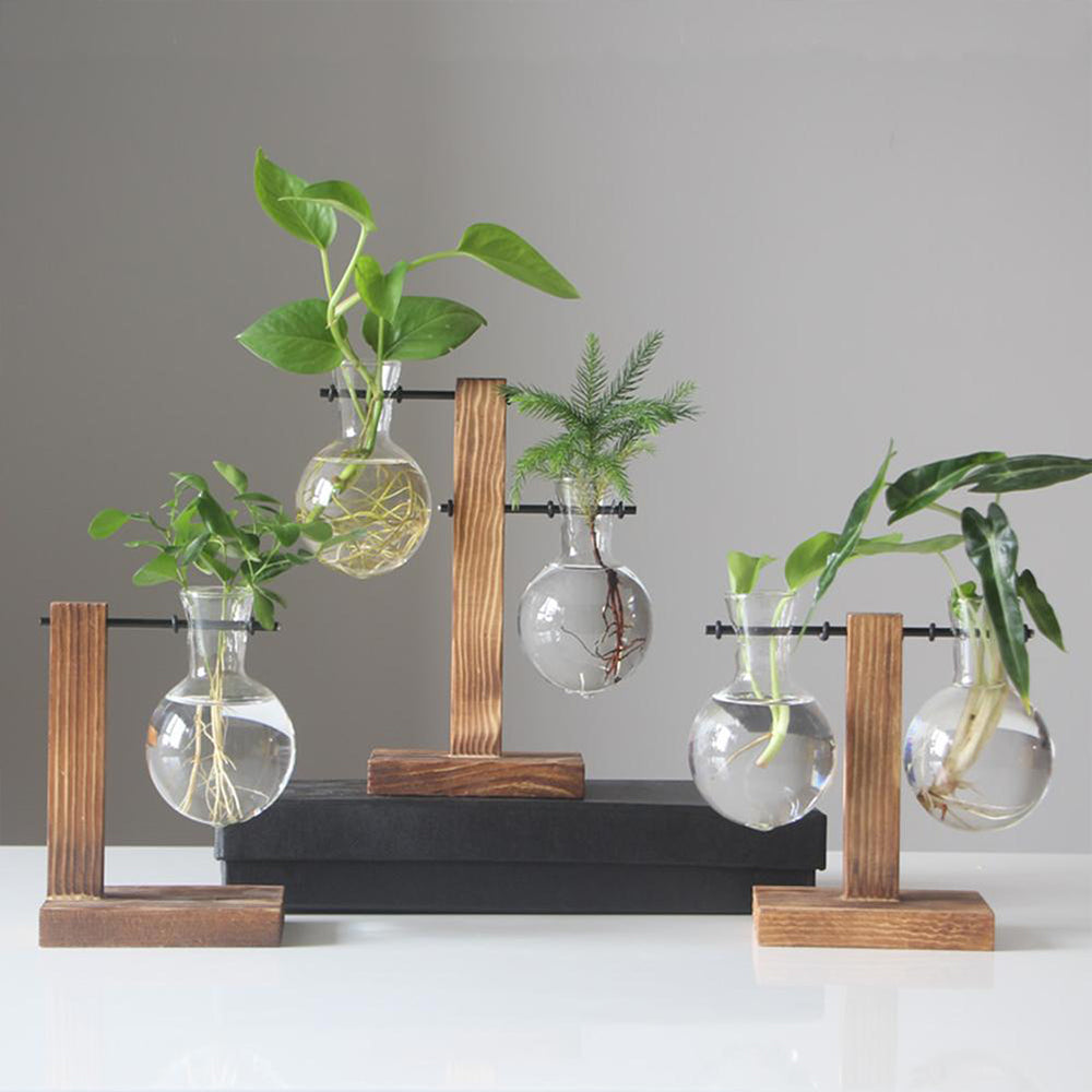 Creative Glass Desktop Planter – Elegant Hydroponic Vase with Wooden Stand