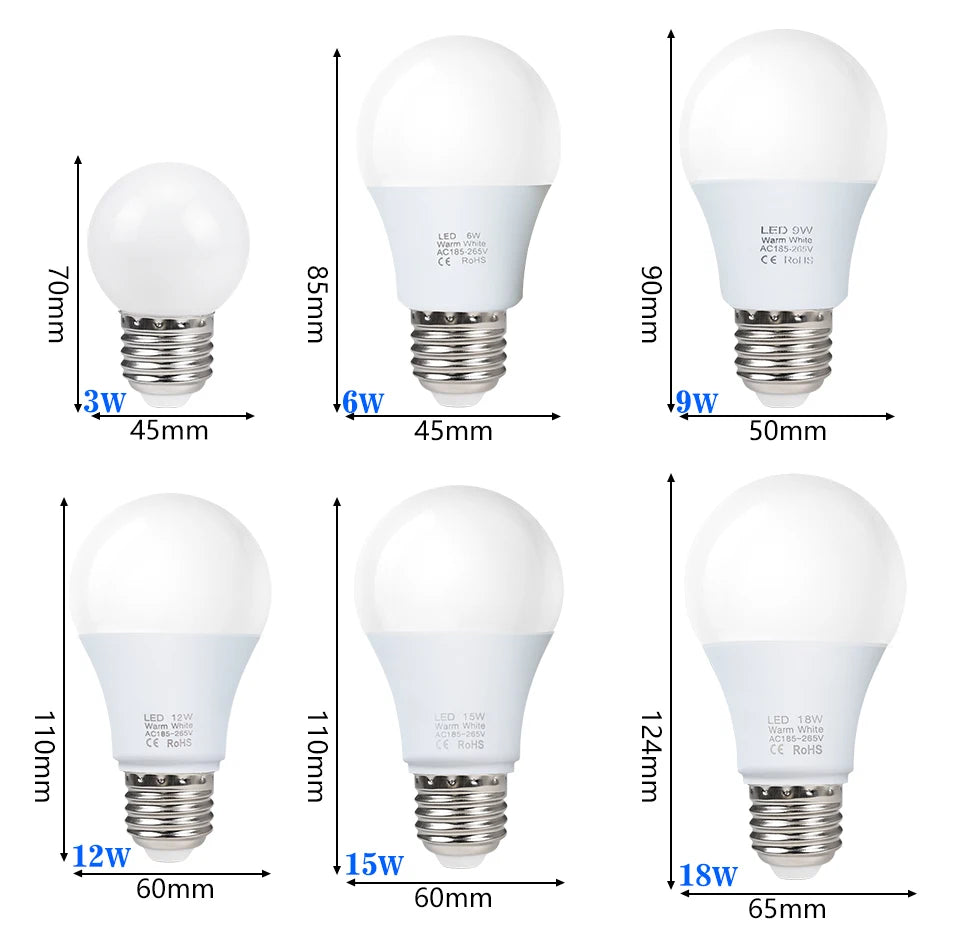LED Bulb Lamps
