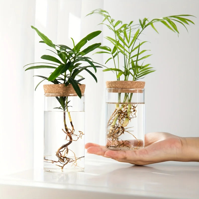 Glass Hydroponics Planter Vase