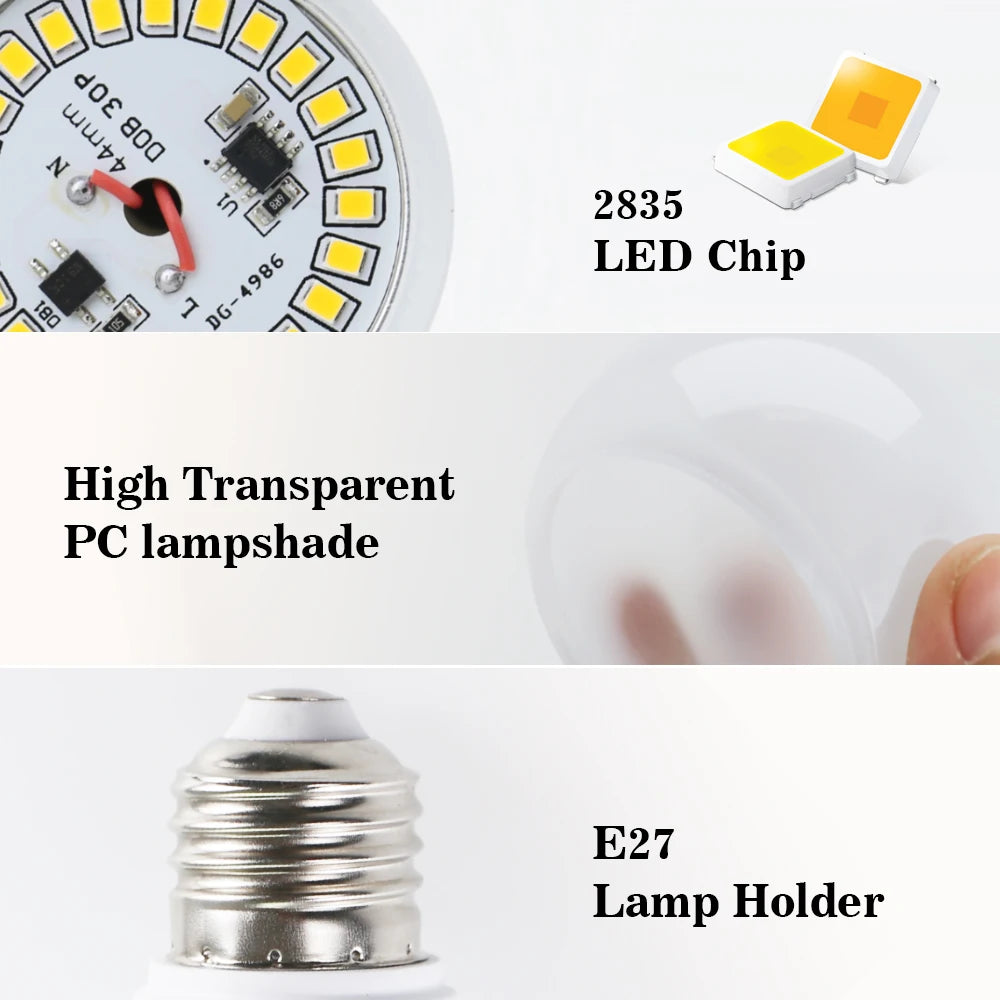 LED Bulb Lamps