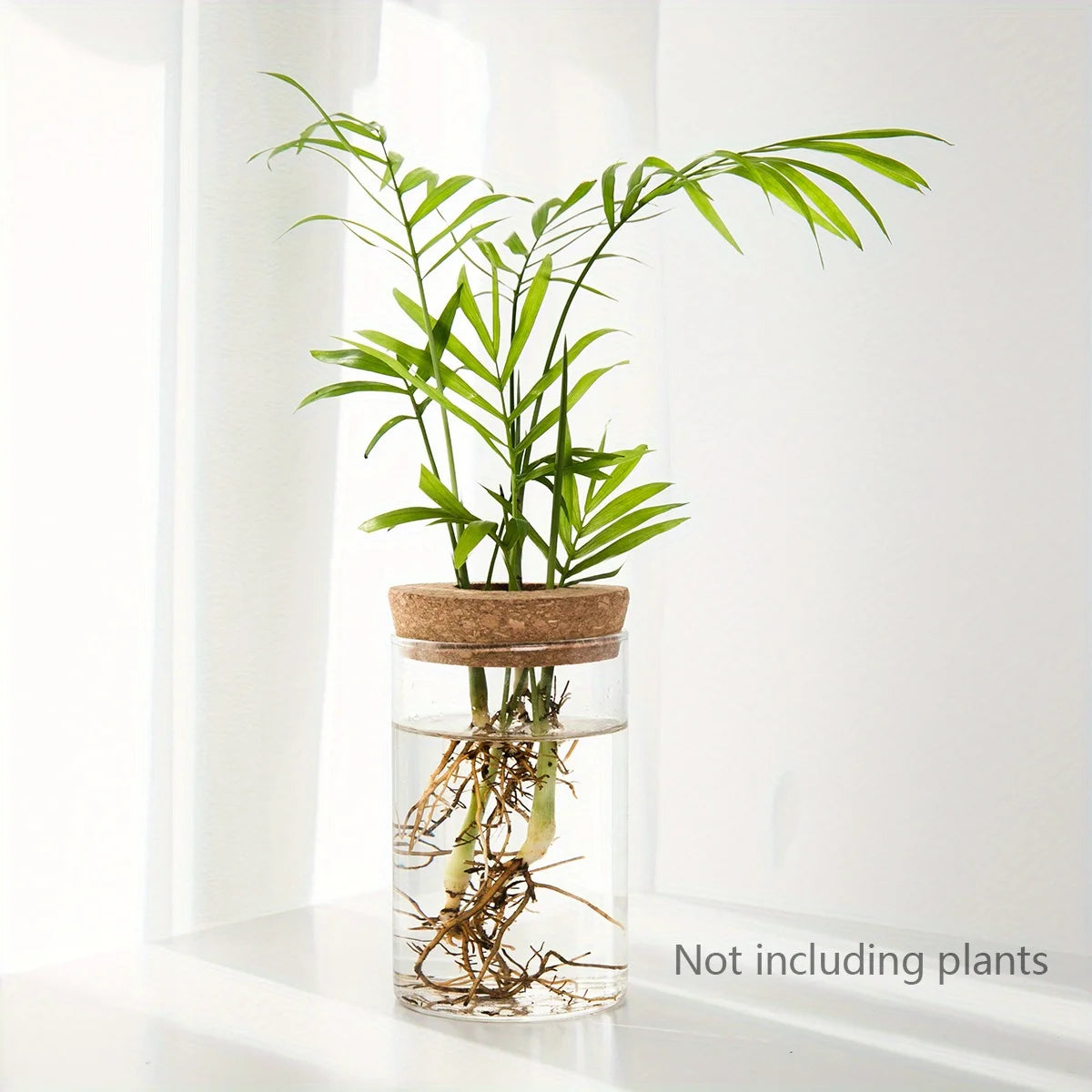 Glass Hydroponics Planter Vase