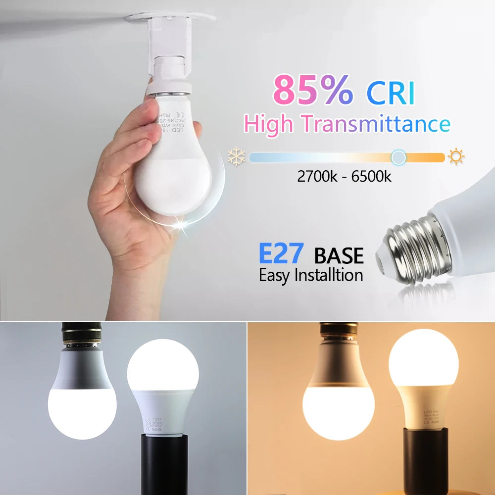 LED Bulb Lamps
