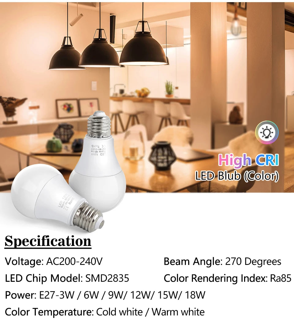 LED Bulb Lamps