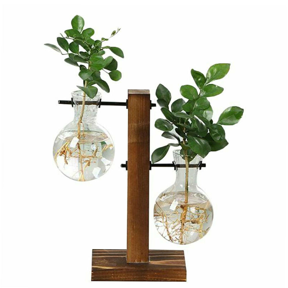 Creative Glass Desktop Planter – Elegant Hydroponic Vase with Wooden Stand
