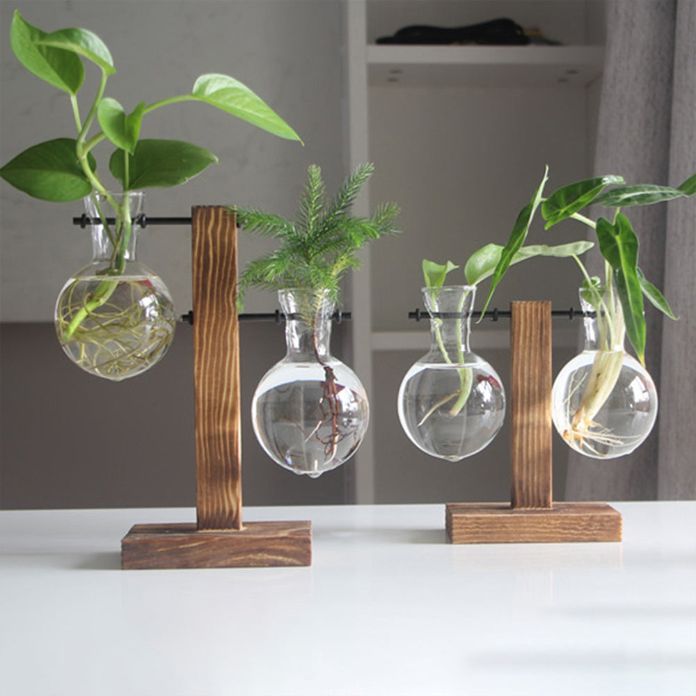 Creative Glass Desktop Planter – Elegant Hydroponic Vase with Wooden Stand