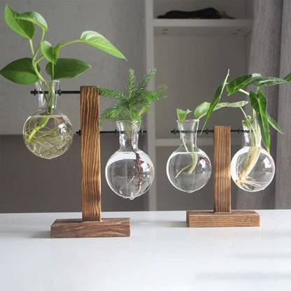 Glass Desktop Planter